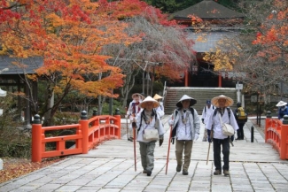 Lezing Pelgrim op twee werelddelen: Santiago de Compostela en Kumano Kodo