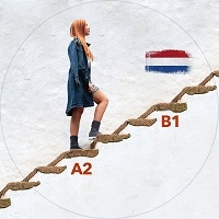Intermediate