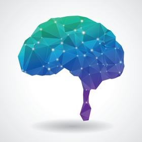 Lezingen: Kennis over het brein